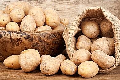 热门中世纪经营模拟《庄园领主》销量超过250万份